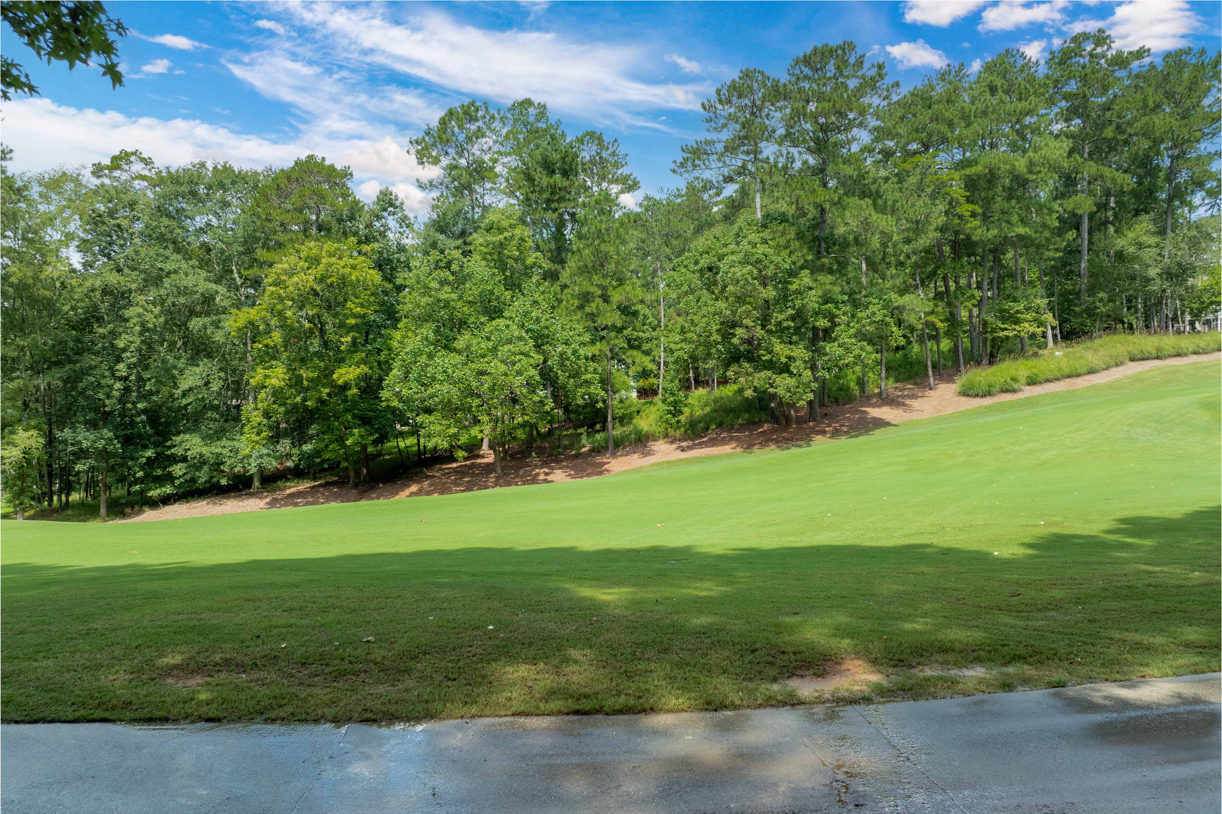 1161 Shoulder Bone Circle image 8